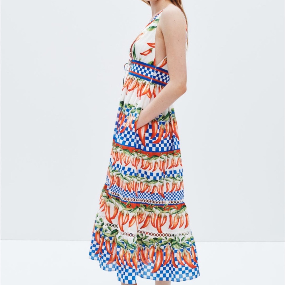 FARM Rio Picnic Peppers Ainika Midi Dress - Picture 3 of 12